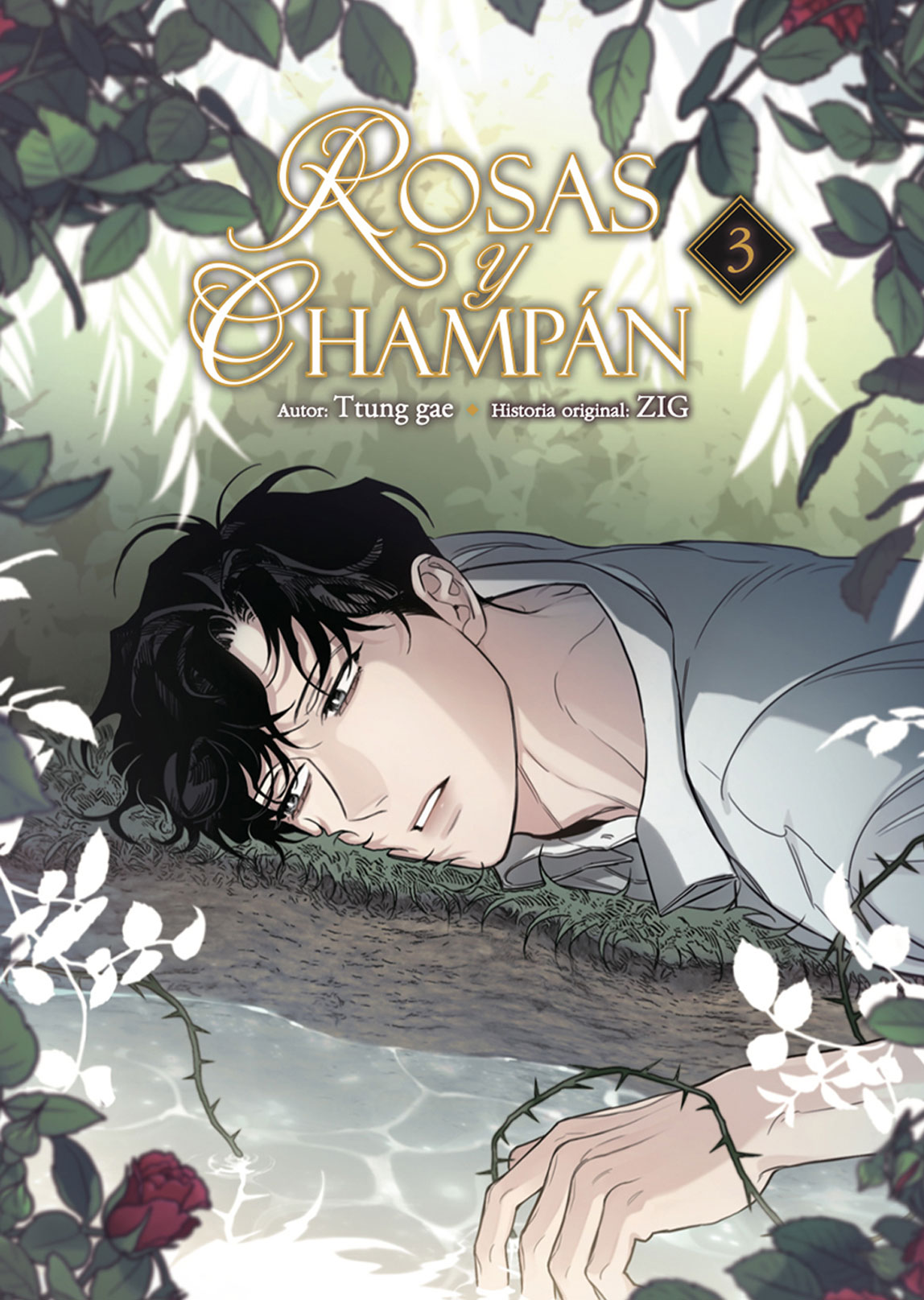 Rosas Y Champán Manhwa Tomo 03 Norma Español - Oni Anime Store