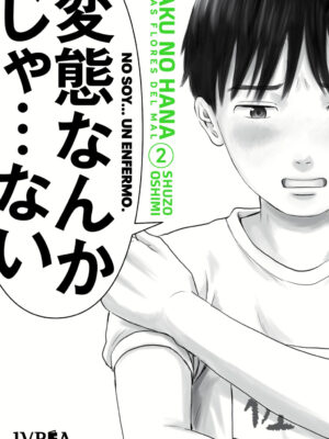 Aku No Hana Manga Tomo 02 Original Español Ivrea